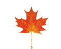 New England Landscaping